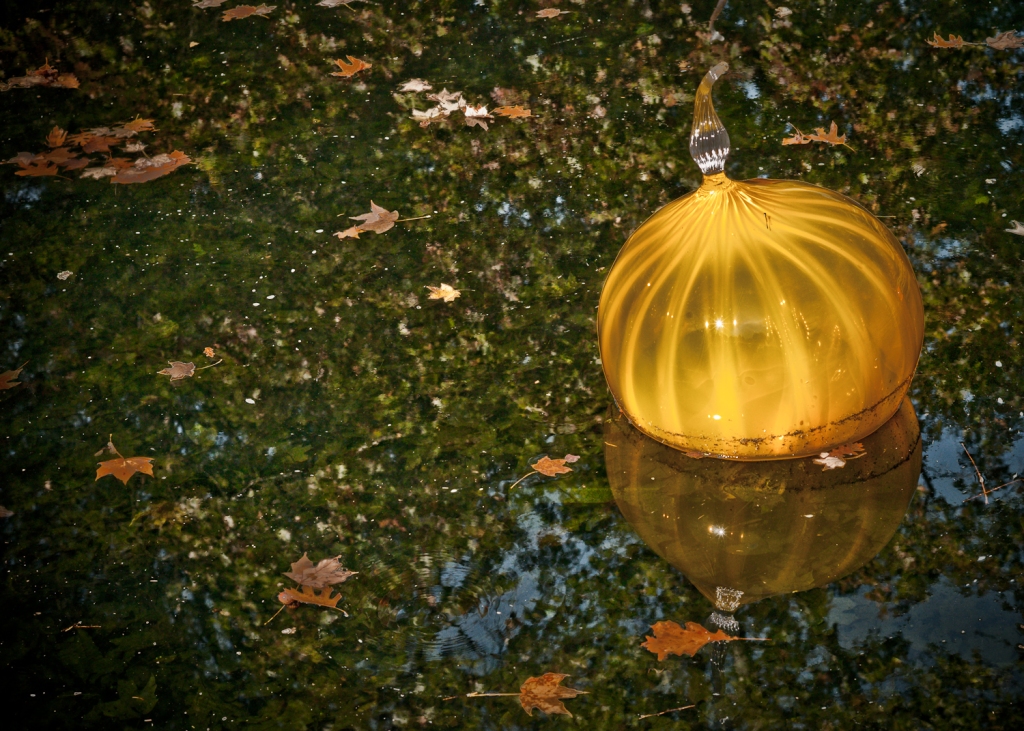 Onion-shaped Walla Walla floats on water garden.
